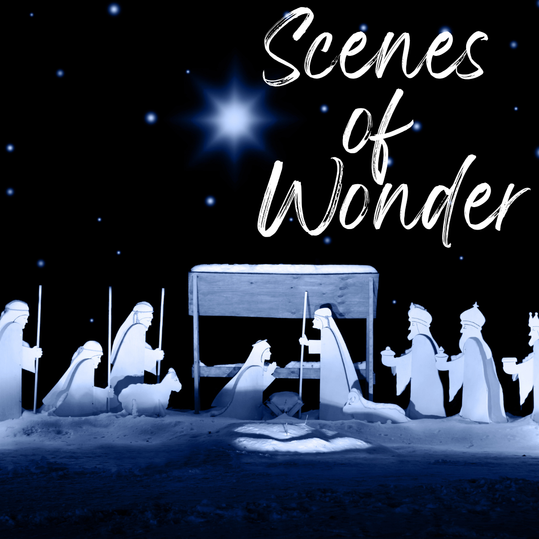 Event image Scenes of Wonder